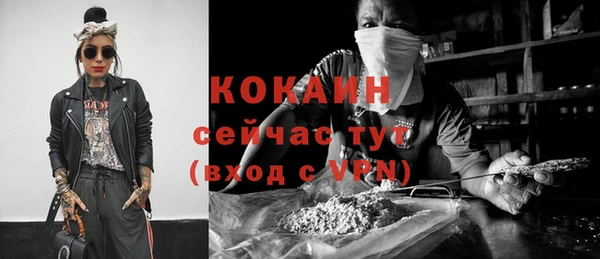 гашик Богданович