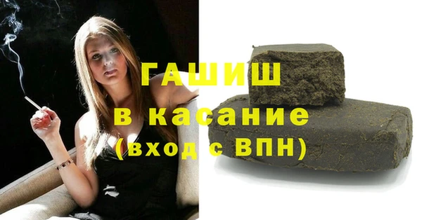 гашик Богданович