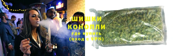 гашик Богданович