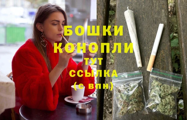 гашик Богданович
