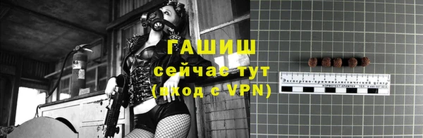 гашик Богданович