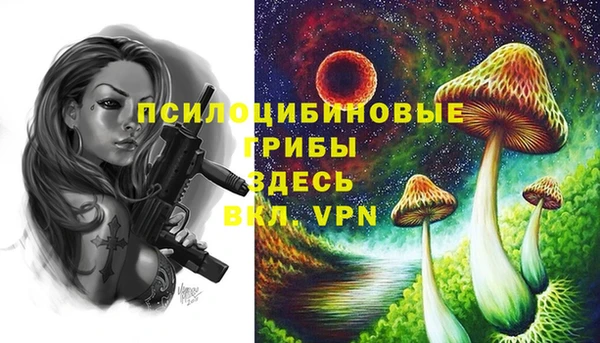 гашик Богданович